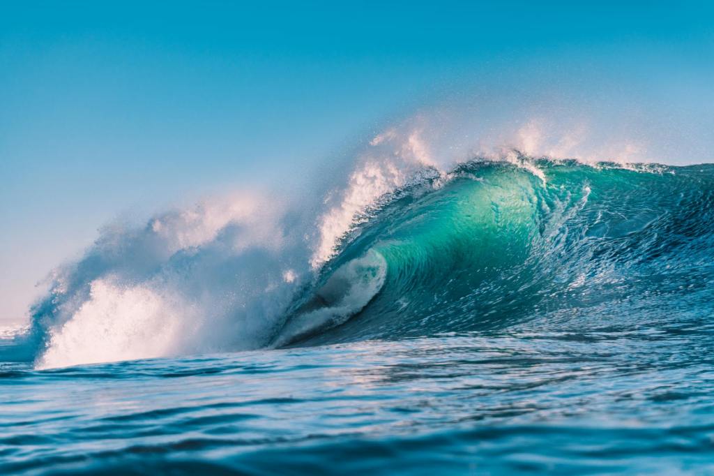 The Doctrine of Yoha Zen&nbsp;(余波禅)